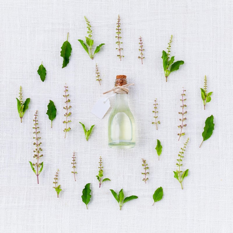 Fairy Garden Essentials
